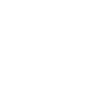 Bingo Cards